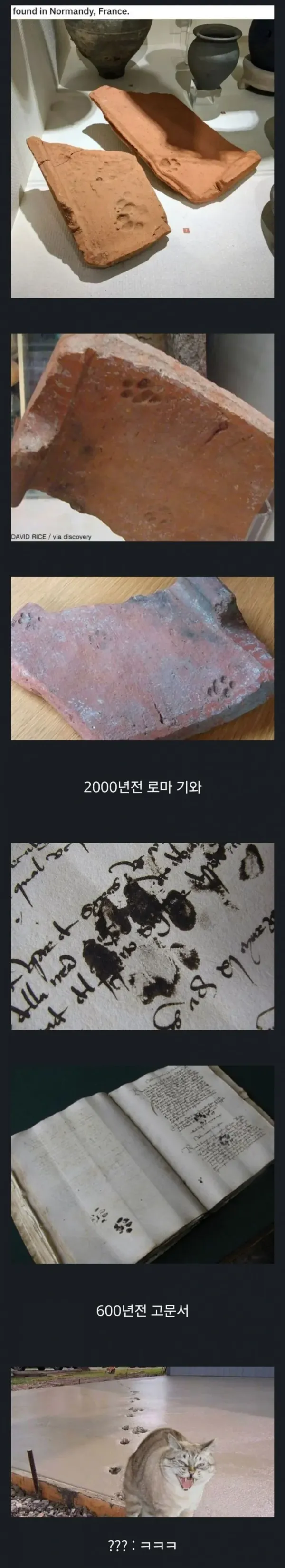 20250702123639_awgu1Suohy.webp