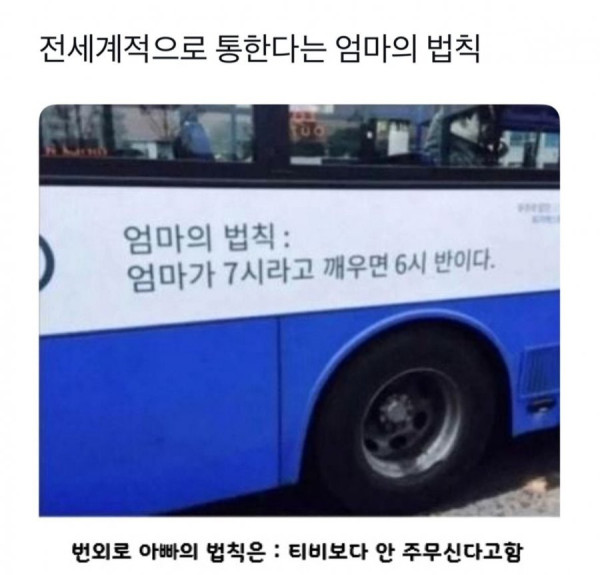 20250723112919_CLIpQYSjwb.jpg