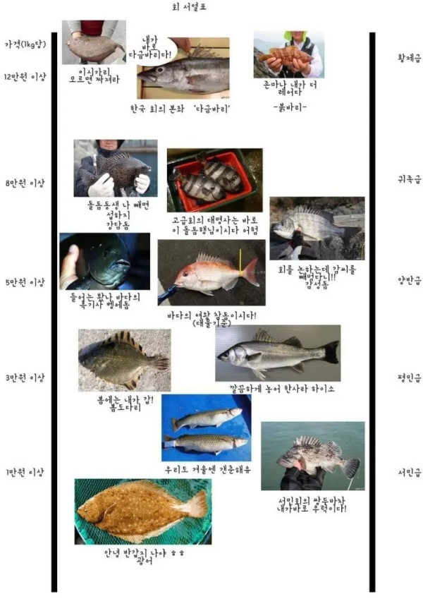 20250718105813_P9wyUyIvjG.png