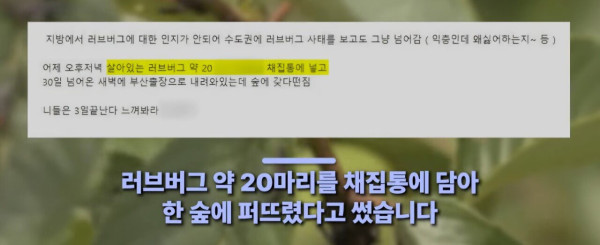 1000067217.jpg 부산에 러브버그 20마리 뿌렸다는 사람 ㄷㄷㄷㄷㄷㄷㄷㄷㄷㄷ