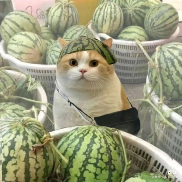 20250703105943_QHrczWMuzu.jpg