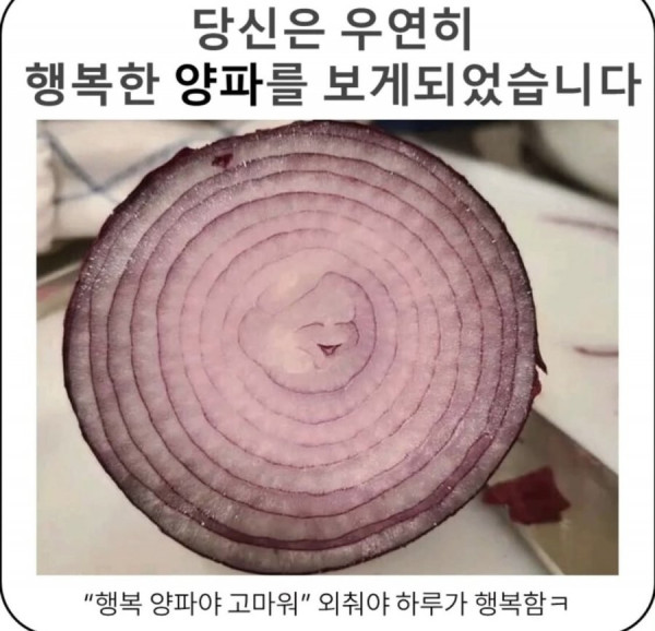 20250703172950_KOu2qtc6QD.jpeg