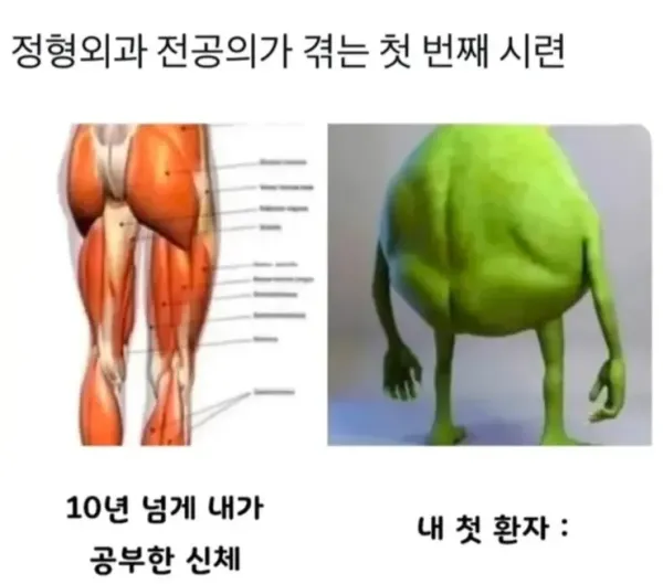 20250710114650_keEbAp71t0.webp