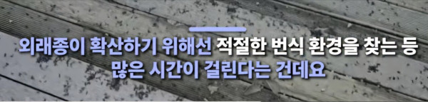 1000067221.jpg 부산에 러브버그 20마리 뿌렸다는 사람 ㄷㄷㄷㄷㄷㄷㄷㄷㄷㄷ