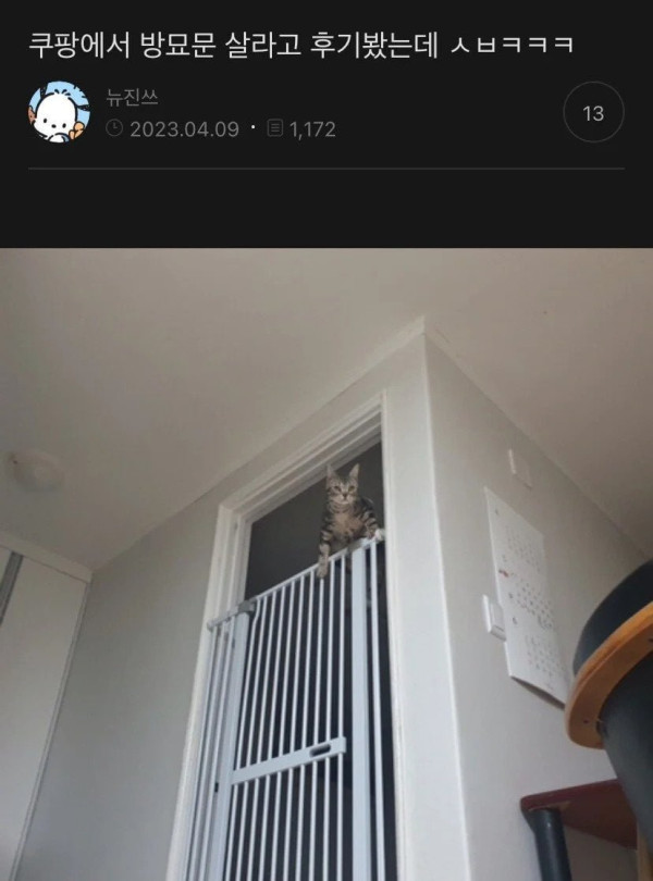 20250709190714_rnIEmdXdIU.jpeg