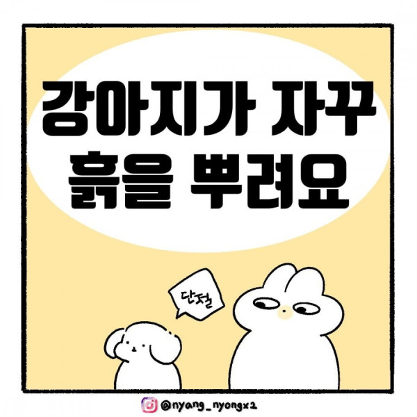 20250723192613_HYL11HJdze.jpg