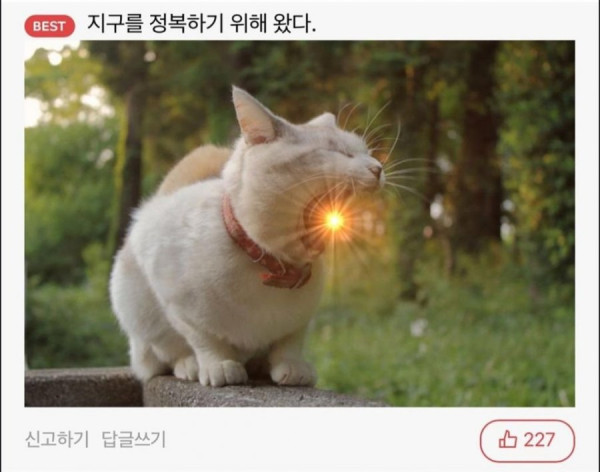 20250714203919_DmBUSTB12i.jpeg
