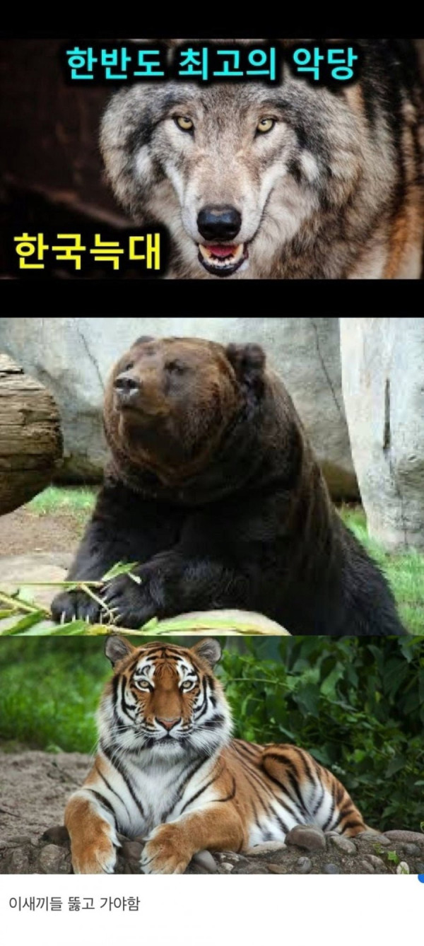 20250728185404_V9tE8iYsIu.png
