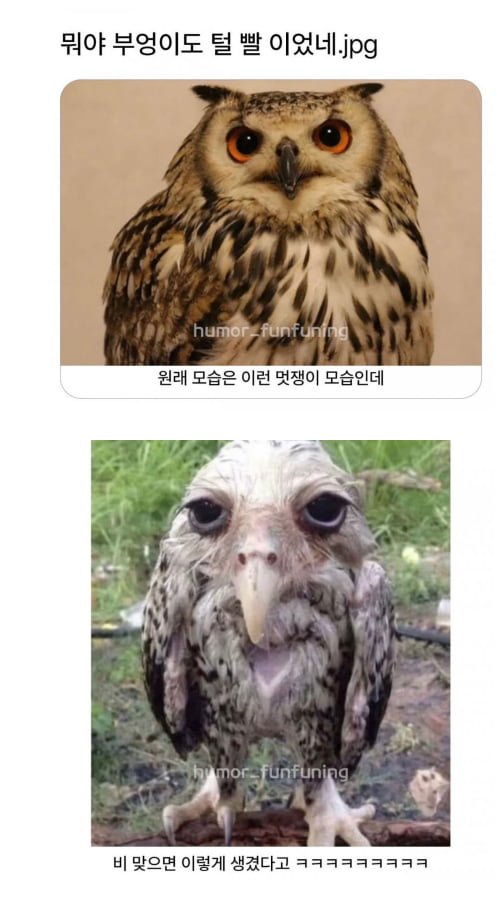 20250831113713_hO6Mz35Bqe.png