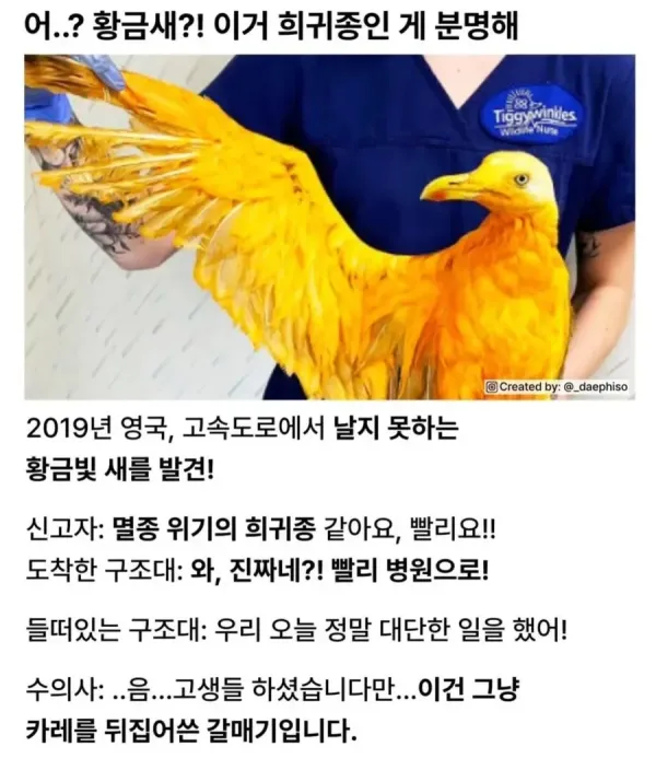 20250831114800_2JJKKNB6nj.webp