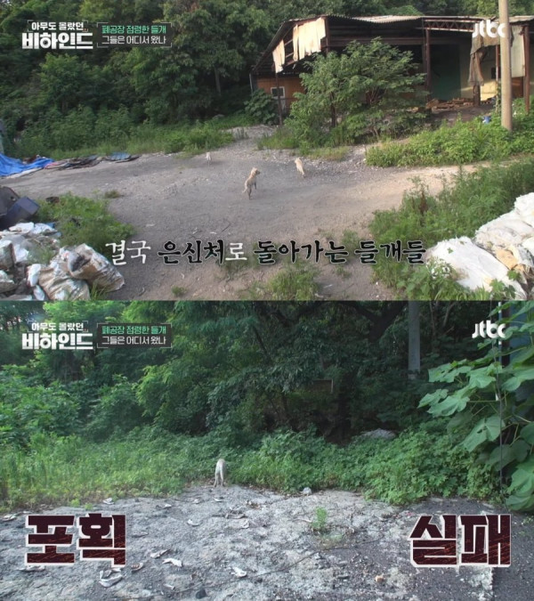 20250801104408_LsuNxyUtEG.jpeg