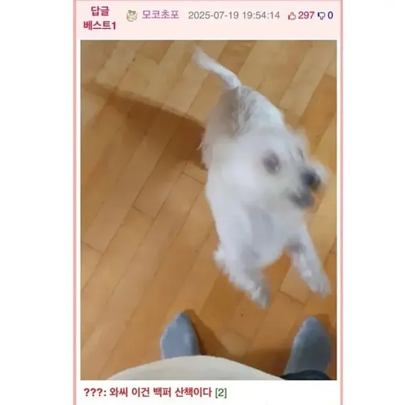 20250812192340_Vi8O4uUq7n.webp