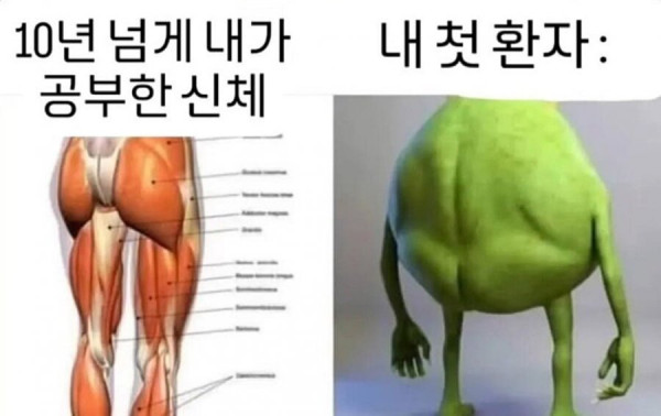 20250825195147_xcO3MCG71k.png
