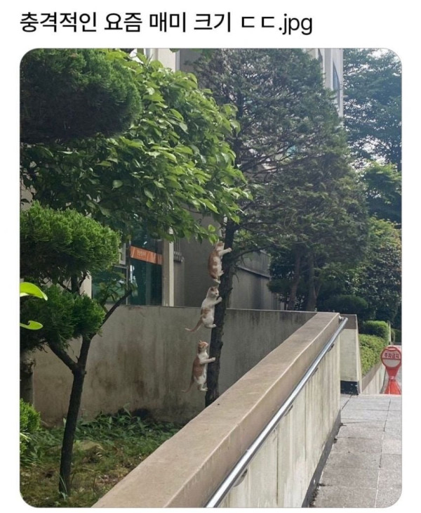 20250826153656_jp8aSNZVOm.png