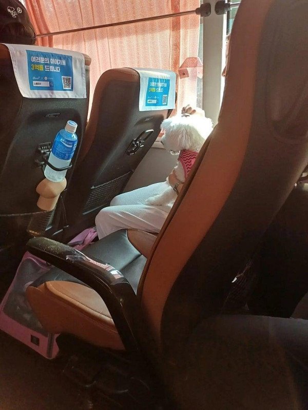 20250807111533_Js6uCyUKr0.jpeg
