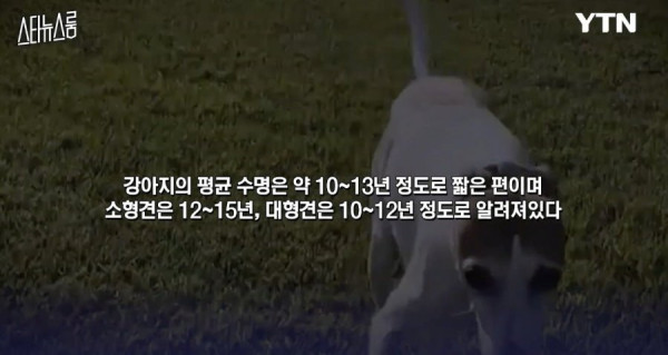 20250813114104_PYFQhSG5pJ.png