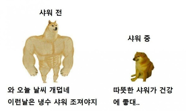 20250807111618_TqjtUMUEwF.jpg