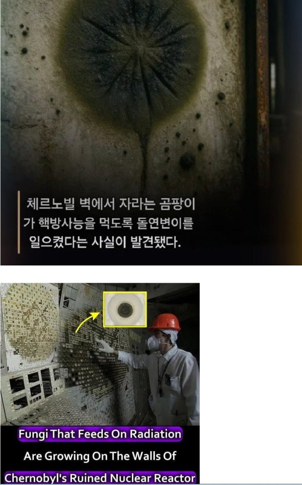 20250805113901_JJ7k0FKEtt.png