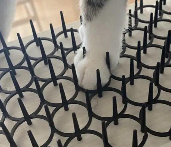 고양이 접근 방지 패드 후기.jpg_2.jpg