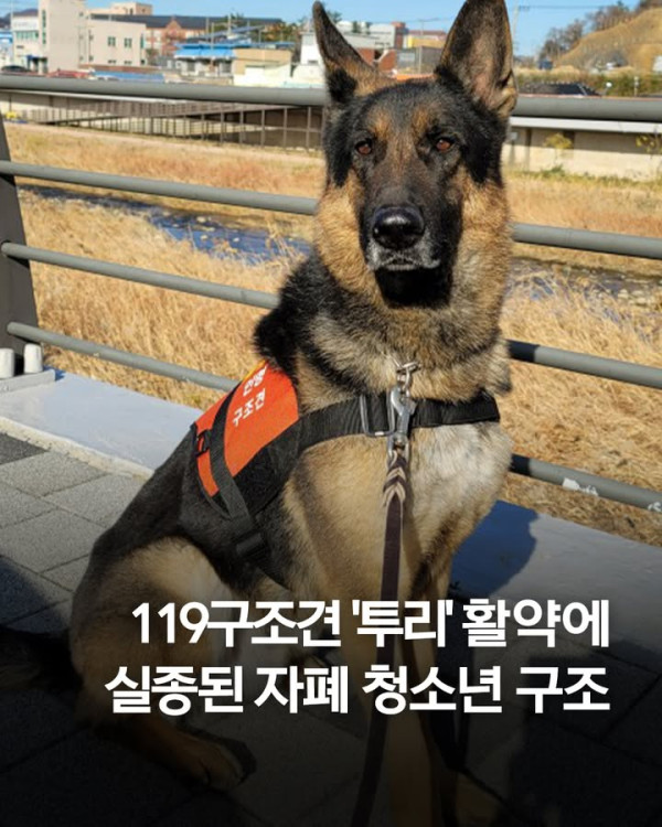 yonhap_news 2025-09-16T075005.jpeg