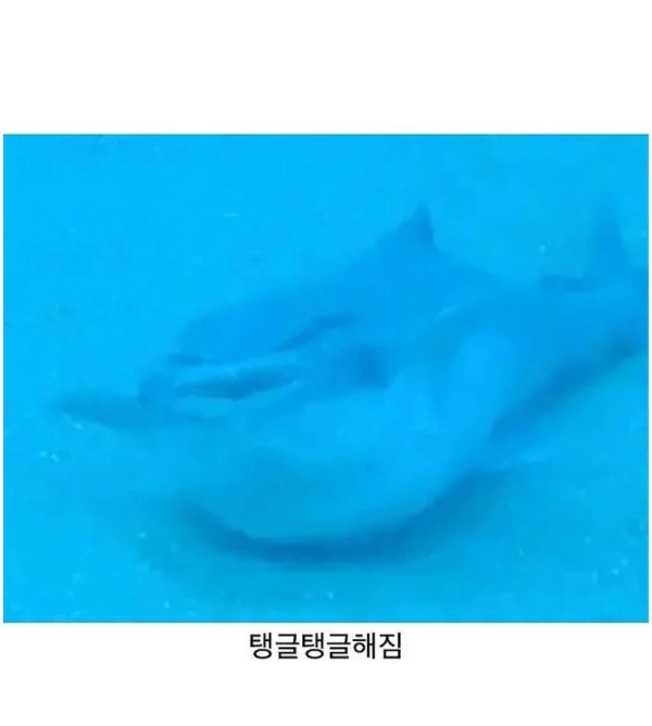 20250924124837_OamMkIuCPe.png