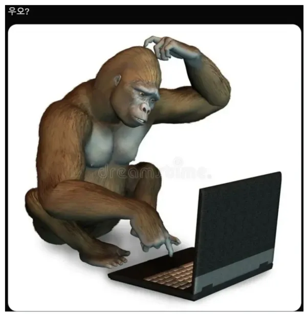 20250904110036_b1XXUJRFBf.webp