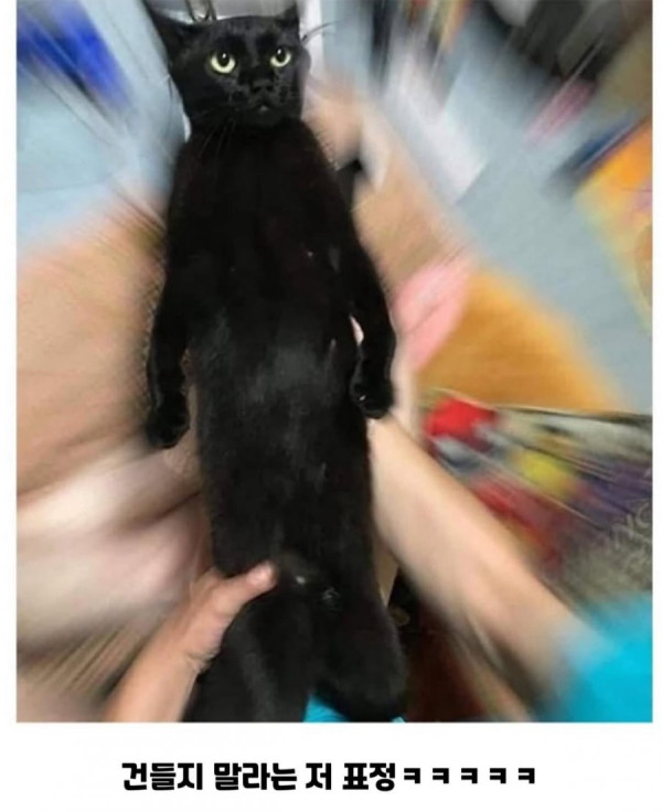 20250911180952_Cmk9jUdTm7.jpeg