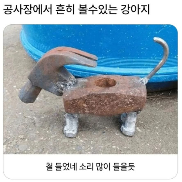 20250917124456_piLg0S3QFz.jpg