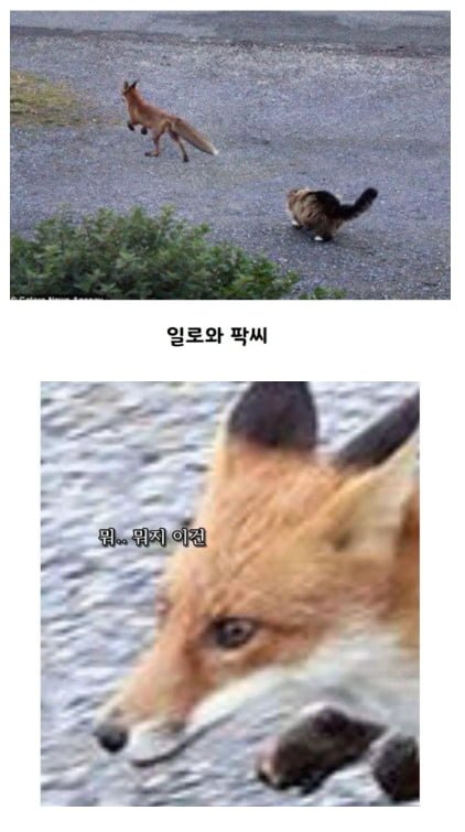 20251015123329_iDjOhEKCXh.png