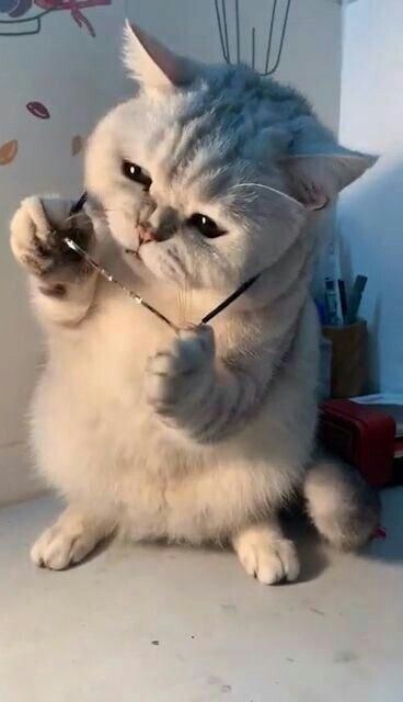 흑막이 밝혀지는 순간.jpg_1.jpg