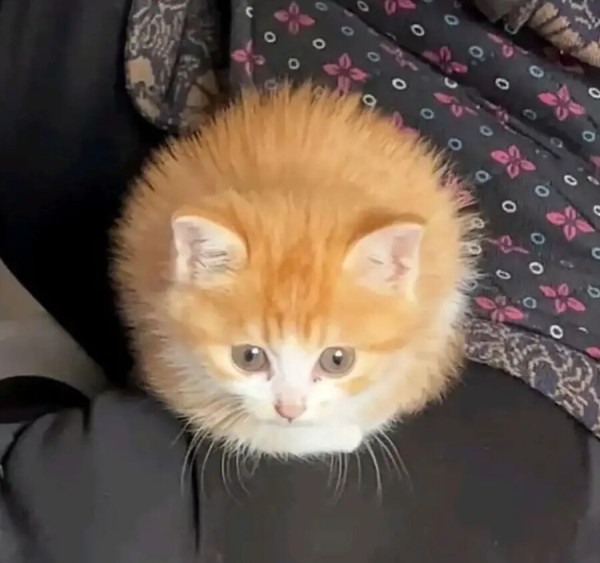 장깐! 정싱시간 끝나기전 이건 보고가!_1.jpg