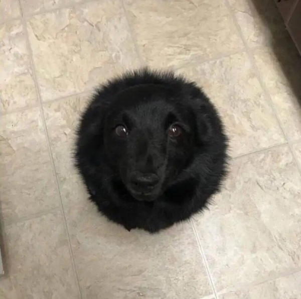 장깐! 정싱시간 끝나기전 이건 보고가!_2.jpg