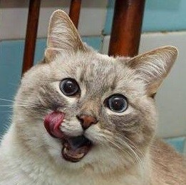 마비m) 웨카 경매장 매물논란 해소 방법_3.jpg