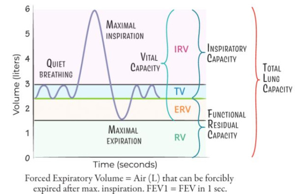약혐] &quot;수술하지 않으면 죽지만, 수술을 해도 죽소&quot;_1.png