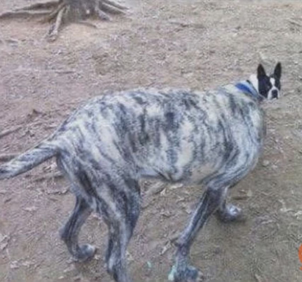 본문 이미지 (7).jpg