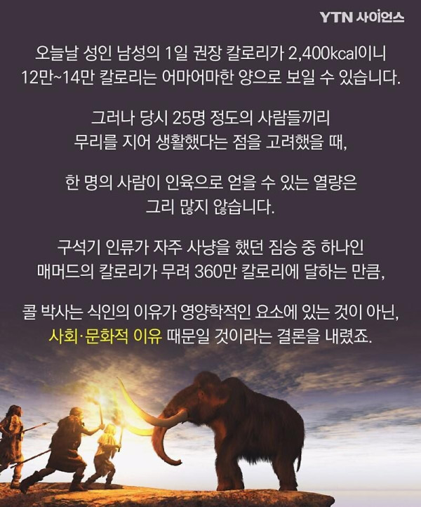 인간 고기의 칼로리.jpg_4.jpg