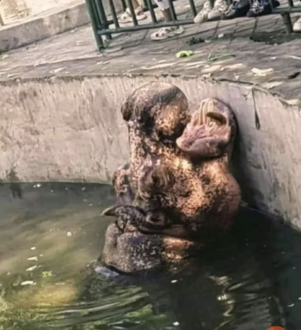 본문 이미지 (8).jpg