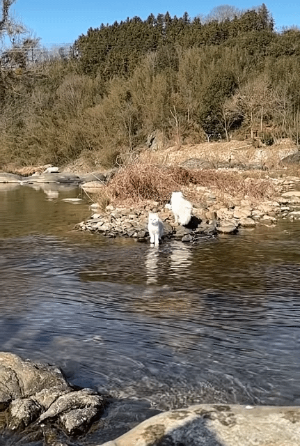 이미지를 불러오는데 실패했습니다.