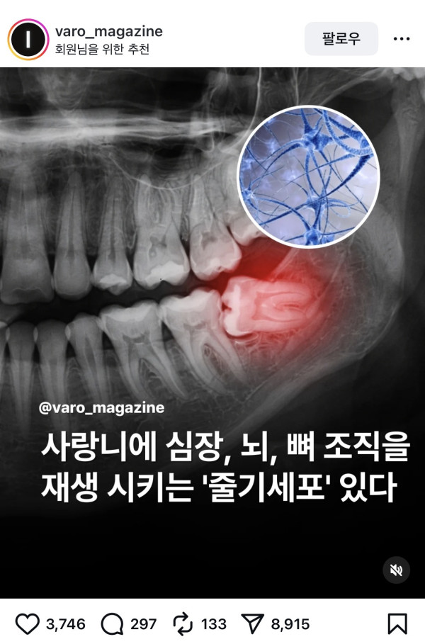 이미지를 불러오는데 실패했습니다.