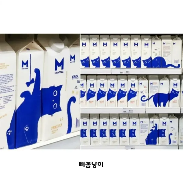 유유곽 디자인으로 상 받은 제품.jpg