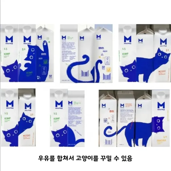 유유곽 디자인으로 상 받은 제품.jpg