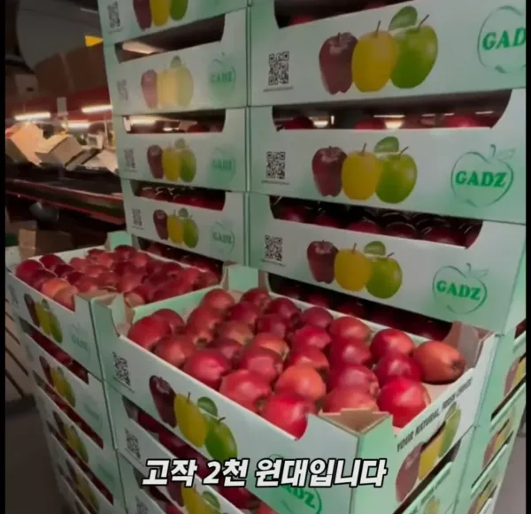 Screenshot_2026-03-02_205121.jpg 미국 사과가 1Kg 에 2000원대인 이유