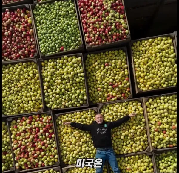 Screenshot_2026-03-02_205015.jpg 미국 사과가 1Kg 에 2000원대인 이유