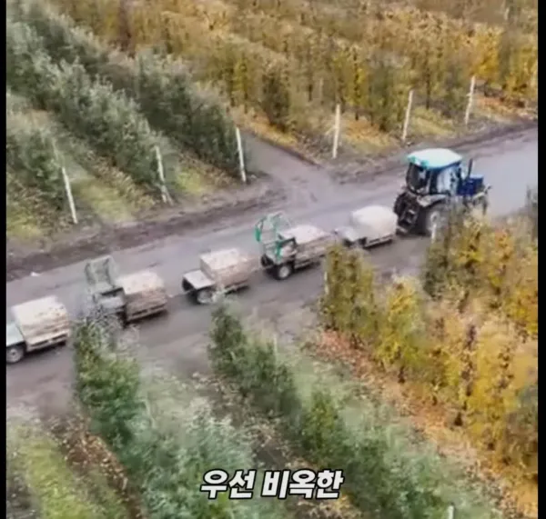 Screenshot_2026-03-02_205215.jpg 미국 사과가 1Kg 에 2000원대인 이유