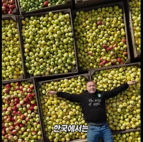 Screenshot_2026-03-02_204958.jpg 미국 사과가 1Kg 에 2000원대인 이유