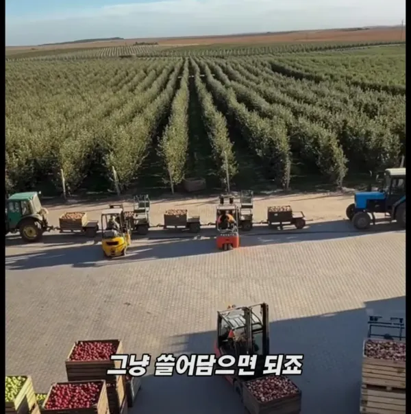 Screenshot_2026-03-02_205417.jpg 미국 사과가 1Kg 에 2000원대인 이유