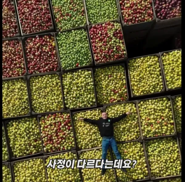 Screenshot_2026-03-02_205023.jpg 미국 사과가 1Kg 에 2000원대인 이유