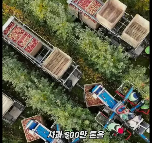 Screenshot_2026-03-02_205315.jpg 미국 사과가 1Kg 에 2000원대인 이유