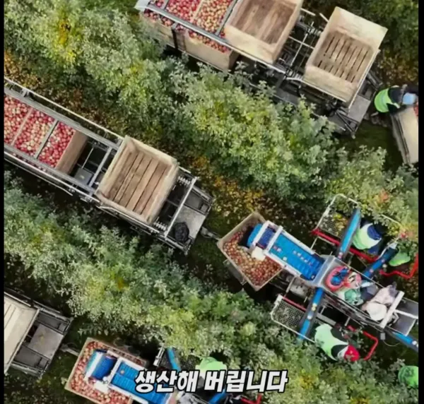 Screenshot_2026-03-02_205324.jpg 미국 사과가 1Kg 에 2000원대인 이유