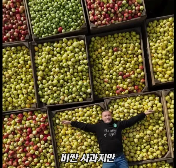Screenshot_2026-03-02_205006.jpg 미국 사과가 1Kg 에 2000원대인 이유